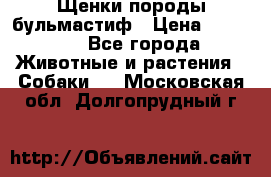 Щенки породы бульмастиф › Цена ­ 25 000 - Все города Животные и растения » Собаки   . Московская обл.,Долгопрудный г.